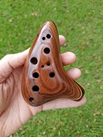 Alto in Morado and Maple